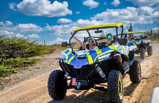 Wild Side UTV Tour: Explore the Northern treasure