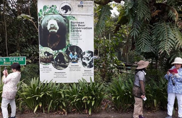 Full-Day Sepilok Orangutan,Sun Bear & Sandakan City Trail from Kota Kinabalu
