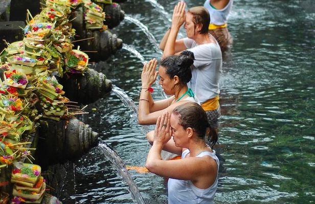 Ubud Tour - Balinese Healing By Shaman And Self Purification