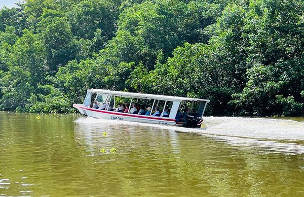Half day Tortuguero Canal, Cahuita National Park & Puerto Limon