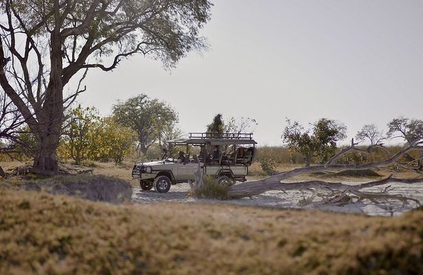 8 Day Chobe NP, Elephant Sands, Okavango Delta & Victoria Falls
