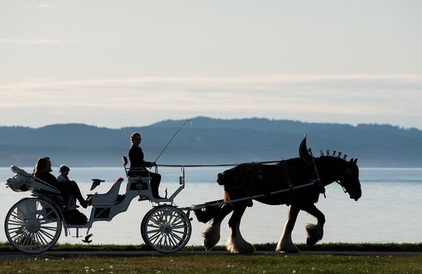 Salish Sea Horse-Drawn Carriage Tour of Victoria