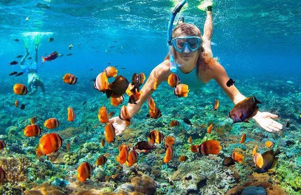 4 Hours Private Tour with Snorkeling and West Bay Beach Break