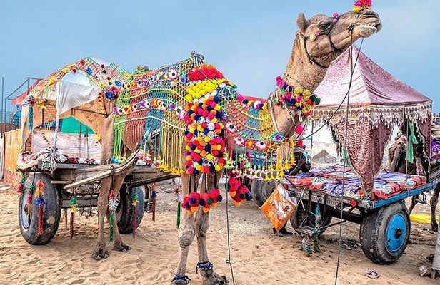 Private Same Day Trip to Pushkar from Jaipur