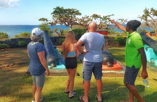 Full Day Group Tour in Tobago Atlantic Coast 