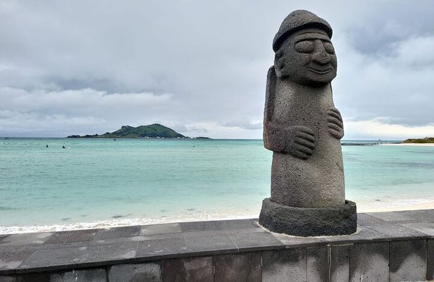 1 Day Free schedule Tour a lot of experince driver in jeju island
