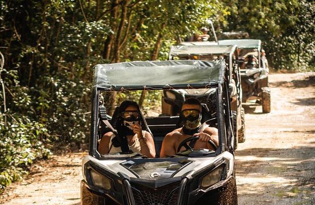 Jungle Buggy Day Tour
