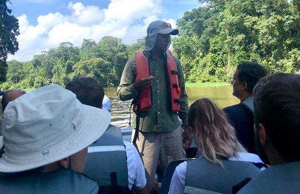 Canoe Boat Tour in Tortuguero Canal