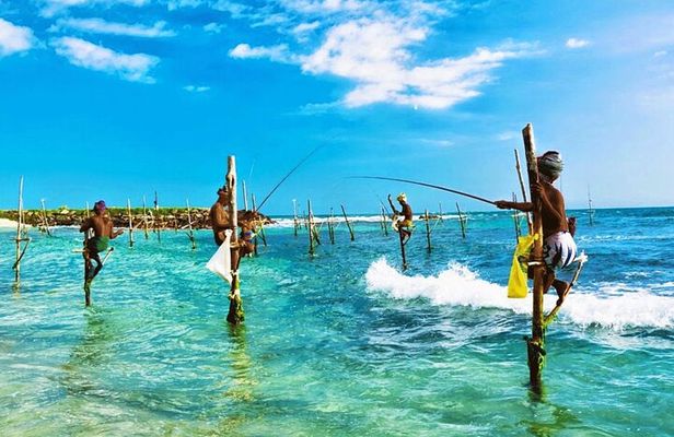 Galle & Benthota Full Day Tour From Colombo