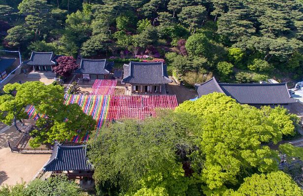 Seoul 8hr Private Tour with Local Expert Guide