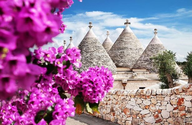 Small group tour of Alberobello