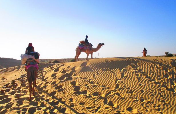 Overnight Camel Safari - Sleeping under the Stars