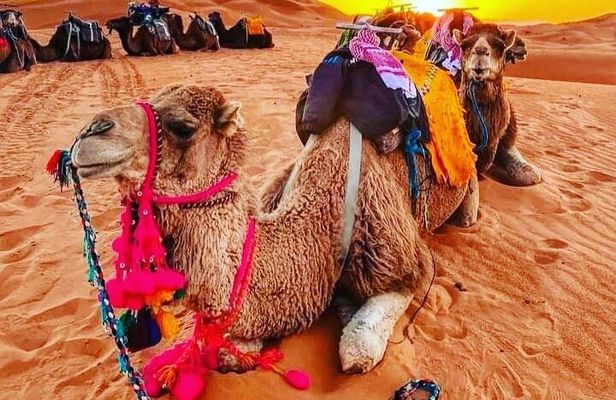 3 Days Group Tour from Marrakech to Merzouga Desert