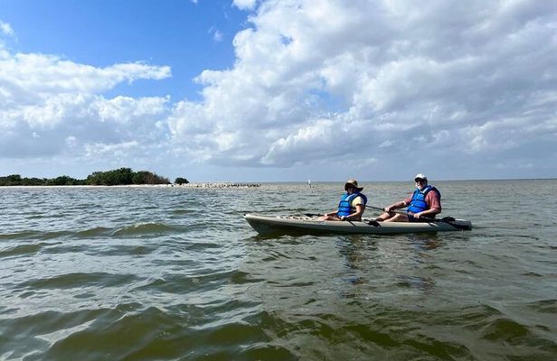Space Coast Manatee & Coastal Wildlife Kayak Tour