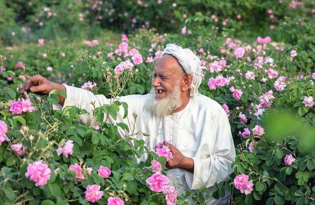 Private Day Tour of Oman's Natural Wonders in Nizwa, Jabel Akhdar