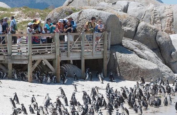 Cape Agulhas Southernmost Tip of Africa and Hermanus Tour