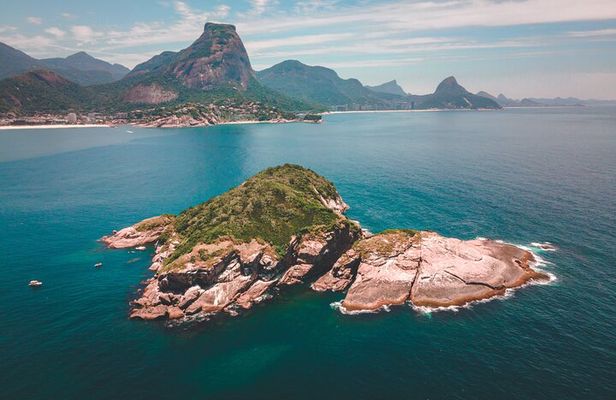 Boat Tour - Snorkeling with Turtles or Whale Watching Experience
