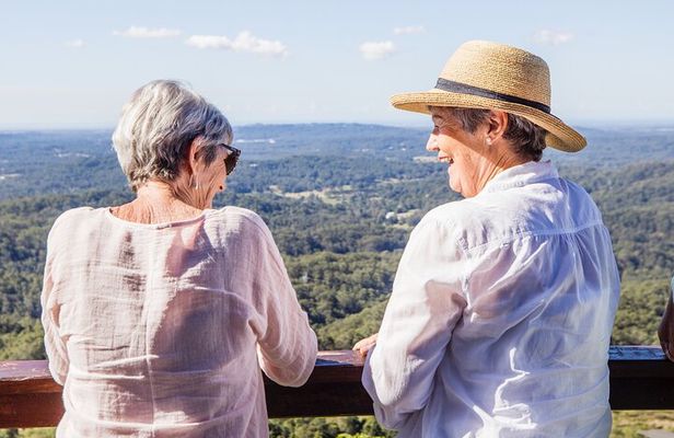 Scenic Hinterland Guided Day Tour Inc Lunch, Tastings From Noosa