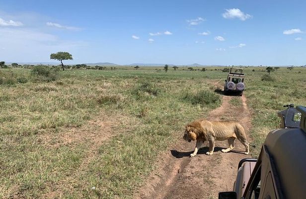 04 Days Tarangire, Serengeti and Ngorongoro crater group (Camping