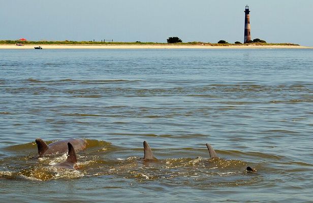 Charleston Marsh Eco Boat Cruise