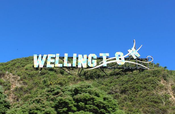 Wellington City and Sea: Private Tour in Electric Tesla SUV