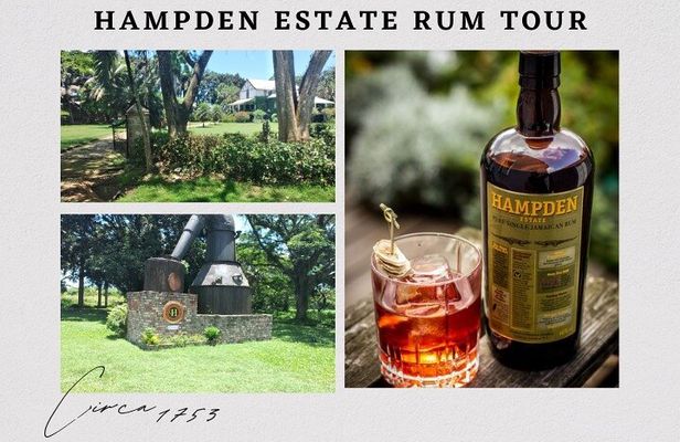 Private Hampden Estate Rum Tour from Montego Bay or Falmouth