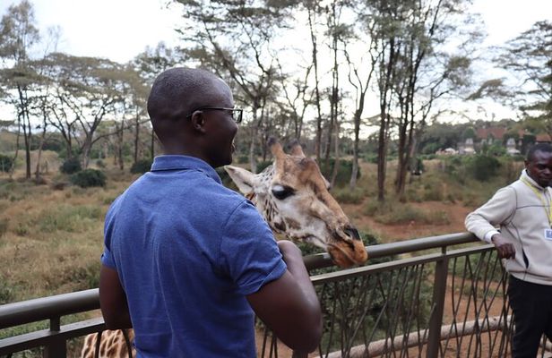 The Ultimate Nairobi City Tour & Giraffe Feeding Experience
