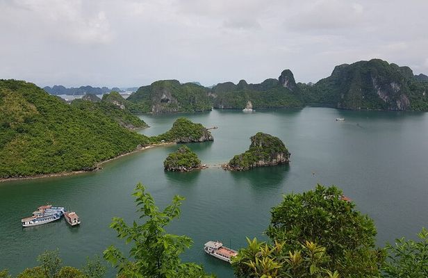 Halong Bay Shore Excursion: Full Day Cruise Tour from Cruise Port