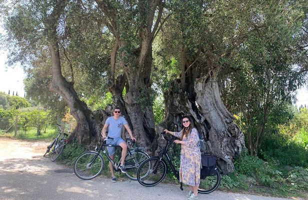 Kefalonia Farm Tour on E-Bikes