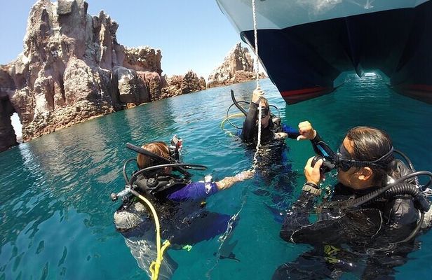 Fun Dive (1 Tank) in Cabo San Lucas