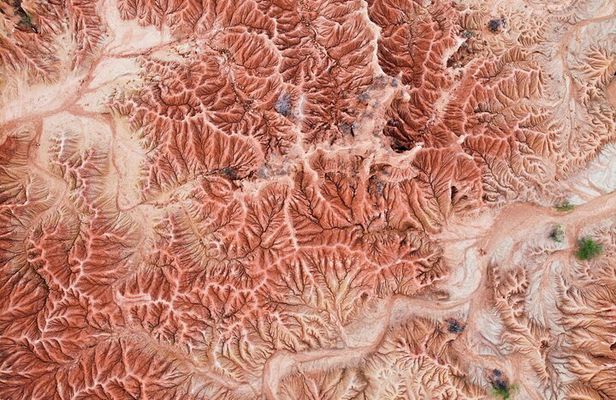 2-Day Tour in the Tatacoa Desert Local Experience