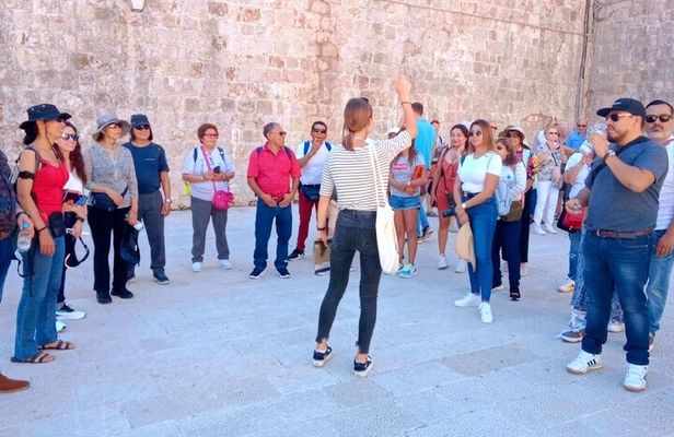 Dubrovnik Old Town Walking Tour
