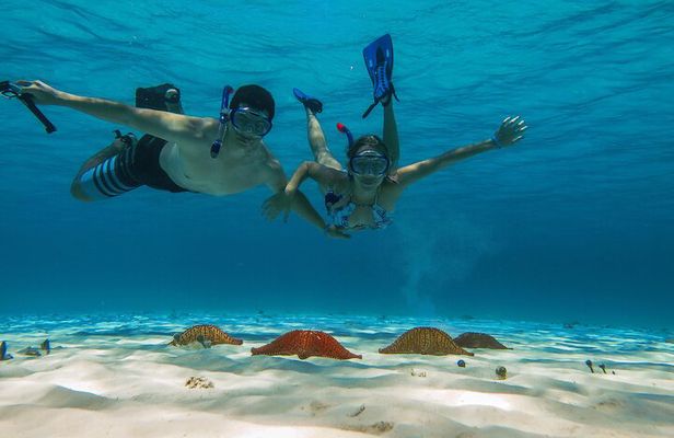 Palancar, Columbia and El Cielo Cozumel Snorkeling Tour