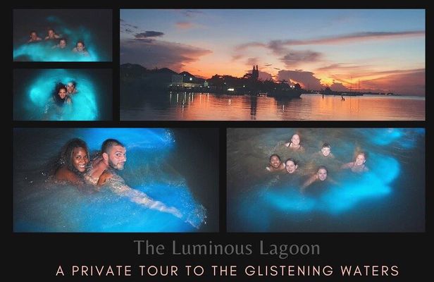 Private Tour in the Glistening Waters from Montego Bay