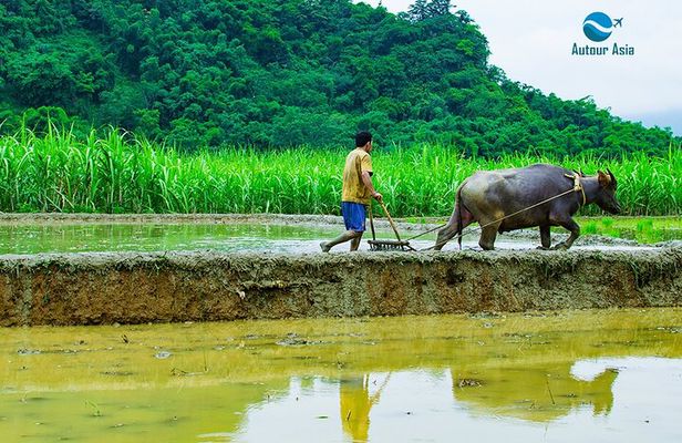  2 Day Private Guided Tour in Pu Luong Nature Hanoi