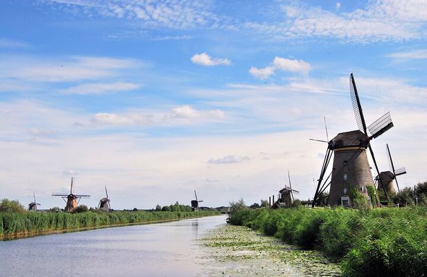 Full Day Private Kinderdijk and South Holland Tour
