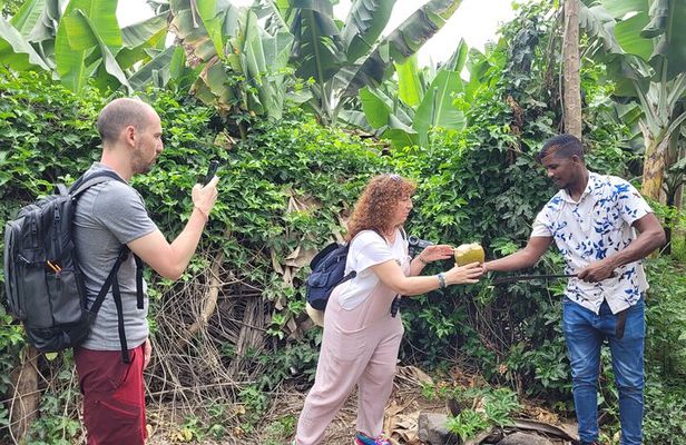 Banana Plantation / Black Sand Beach Experience