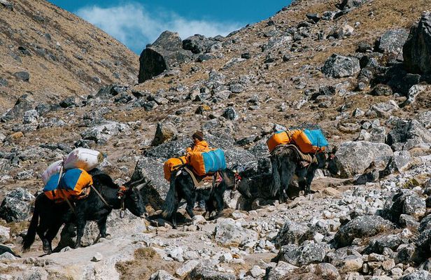 Everest Base Camp Trek - 14 Days
