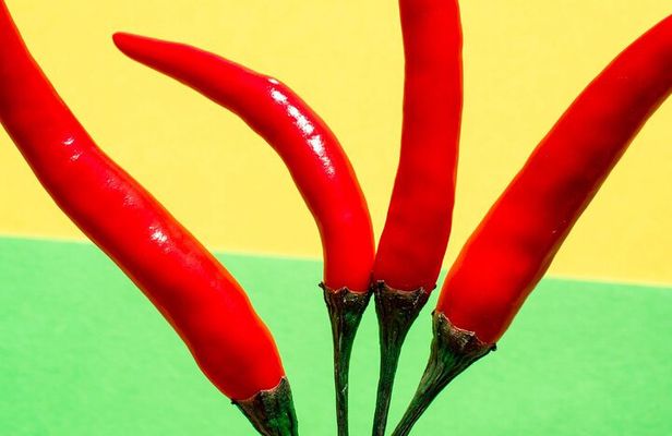 Mozambique Food and Culture Tour