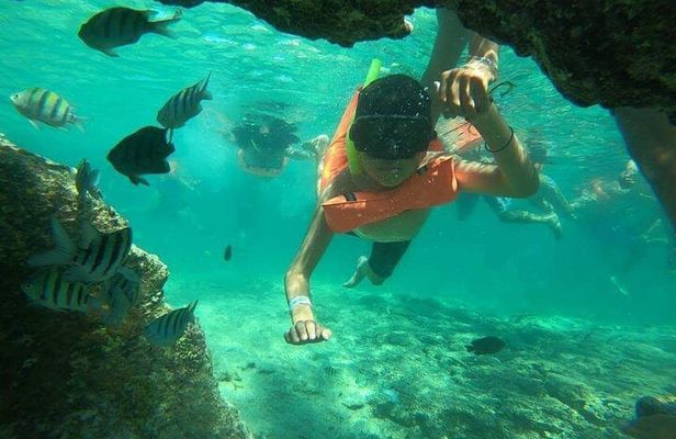 Snorkeling in Isla Mujeres and Underwater Museum