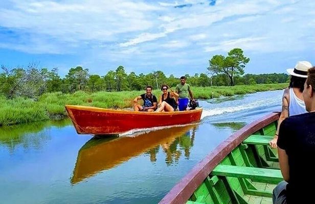Karavasta Lagoon Adventure: Boat & Wildlife Tour from Durrës