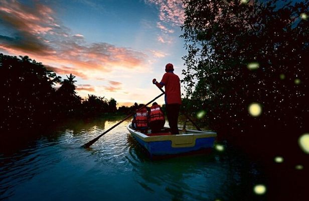 Evening Firefly Boat Tour –Discover Malaysia’s Natural Light Show