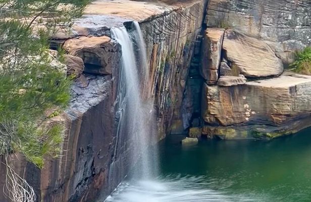 Royal National Park Hike, Swim and Wildlife Tour