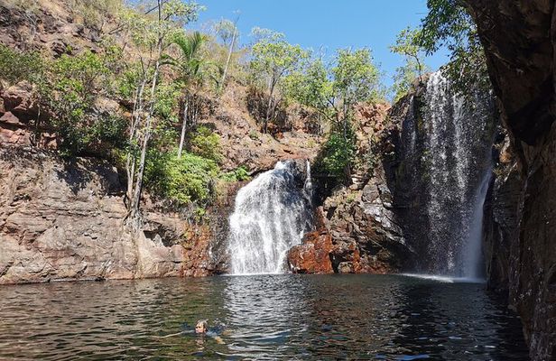 Litchfield National Park Day Tour & Berry Springs, Max 11 Guests