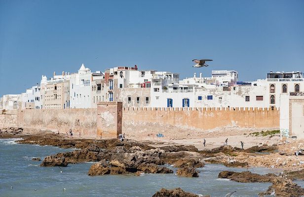 Private day trip to Essaouira Mogador from Marrakech
