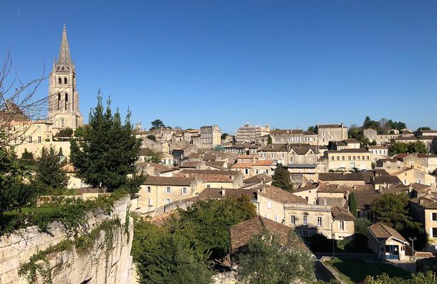 From Bordeaux Vineyard Tour in Saint Emilion Half Day