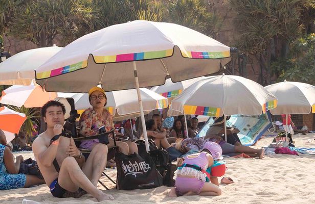 Sun City Day Tour From Johannesburg