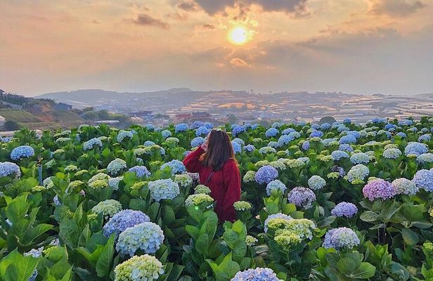 Full Day Car Tour Excursion Dalat ( Minimum 4 guest)