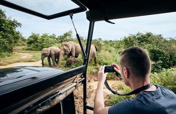 Yala National Park Wildlife Safari/ Game Drive - by Ajith Safari