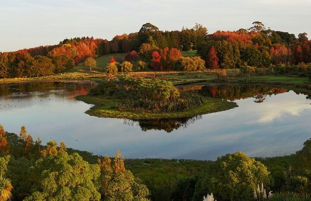 Auckland Nature Tour